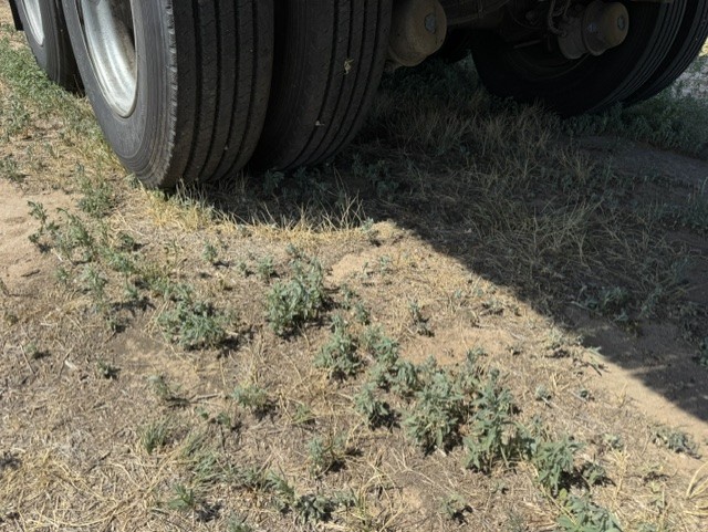 2022 Hyundai Translead in CO — photo 5